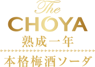 熟成一年本格梅酒ソーダ