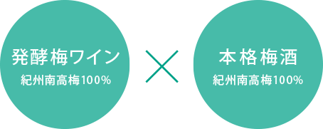 発酵梅ワイン 紀州南高梅100% 本格梅酒 紀州南高梅100%