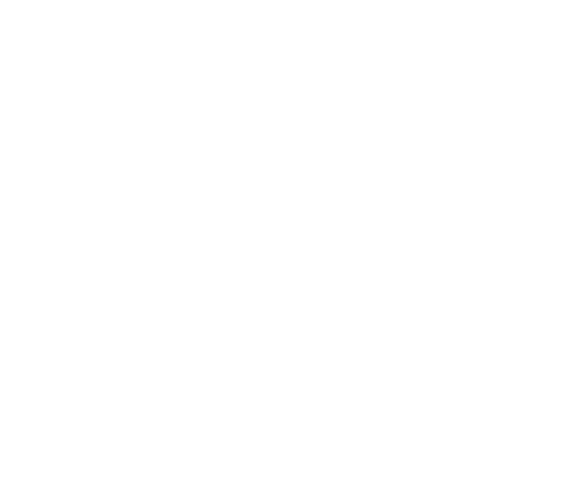 the CHOYA これはもう、梅酒というより、チョーヤです。