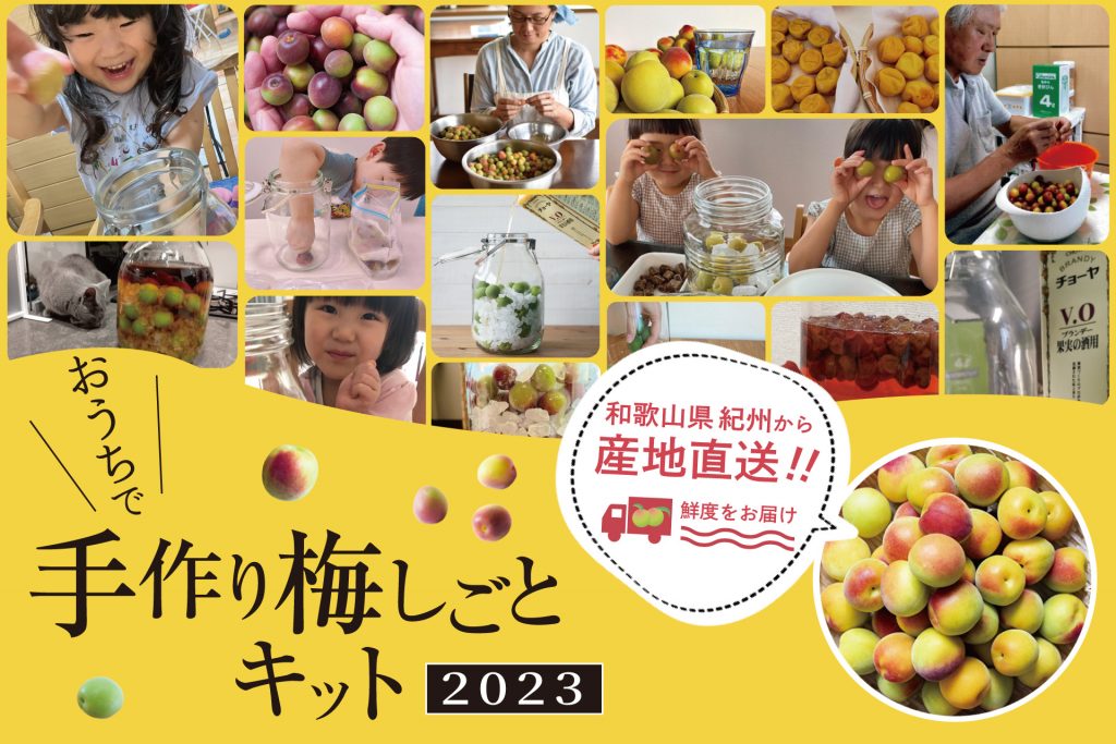 おうちで手作り梅しごとキット2023