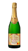 The CHOYA 青梅礼炮 750mL