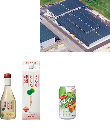 Iga Ueno Factory CHOYA SARARI（1996～）CHOYA UME SODA Non Alcohol（2011～）