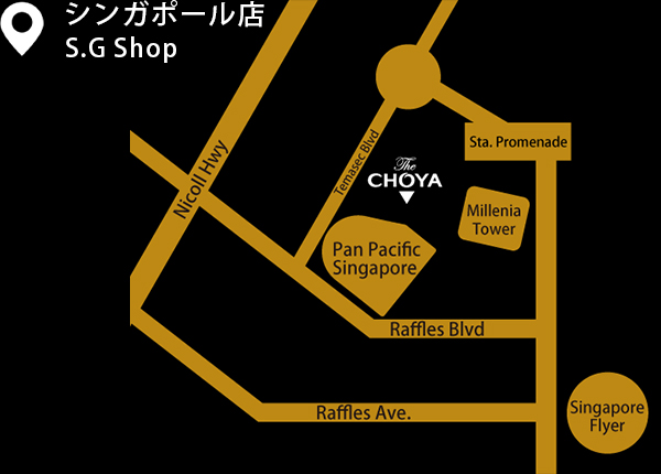 The CHOYA 銀座BAR シンガポール店のアクセスマップ