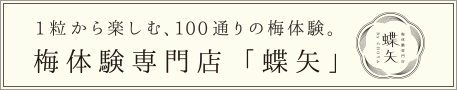 梅体験専門店「蝶矢」