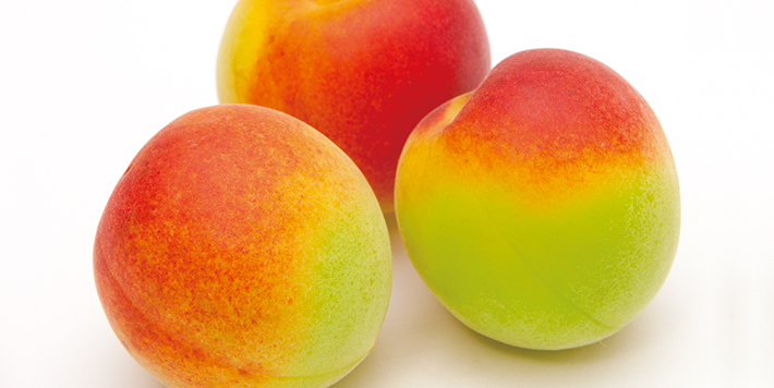 さらりとした梅酒 ブランドサイト チョーヤ梅酒株式会社